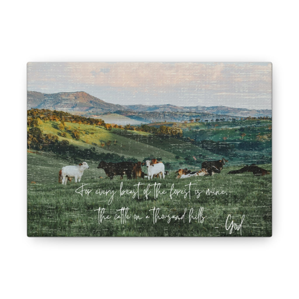 The Cattle on a thousand Hills Canvas Gallery Wraps