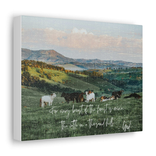 The Cattle on a thousand Hills Canvas Gallery Wraps