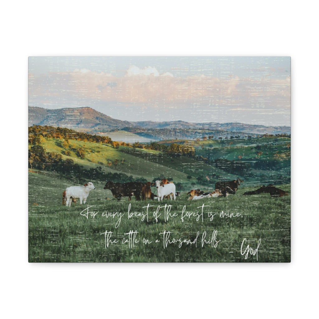 The Cattle on a thousand Hills Canvas Gallery Wraps