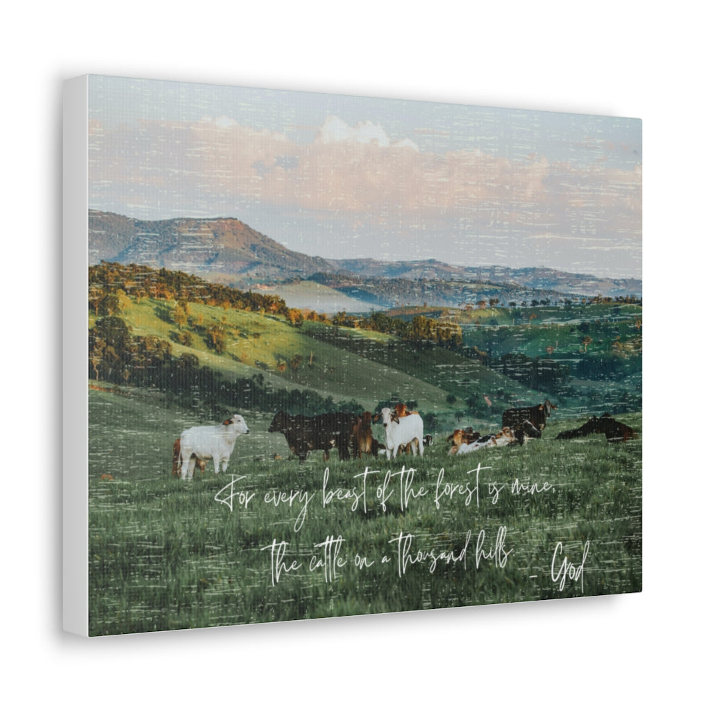 The Cattle on a thousand Hills Canvas Gallery Wraps